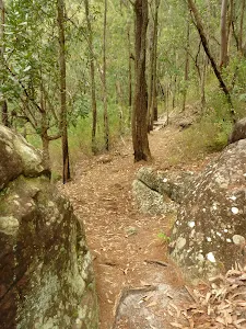 Walking along the narrow track north of Galston Gorge