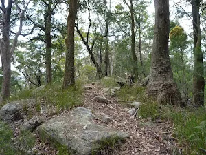 Rocky track south of rest area