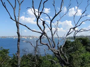 View from Chowder Head