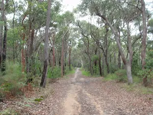 Cascades Track near St Ives