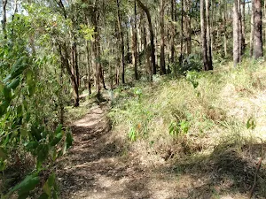 Track heading from behind Glasson's Car Park