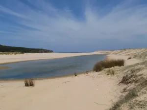 Dunes behind Big Marley