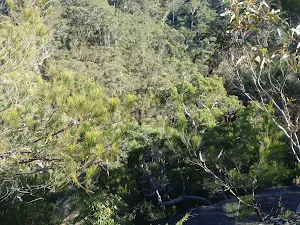 Looking down from Elouera lookout