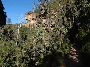 Canyon Opens up for a while
