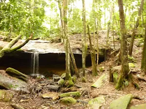 Small waterfall near the Pines campsite in the Watagans