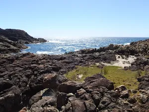 Grass platform south of rocky bay