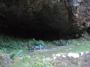 Lyrebird Dell picnic area