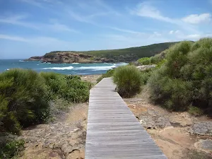 Timber boardwalk near Pinneys Beach in the Wallarah Pennisula