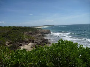 View north from near Caves Beach Road in Caves Beach