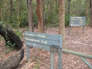 Track intersection near Garawarra car park