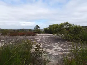 Aboriginal Engravings near West Head Rd