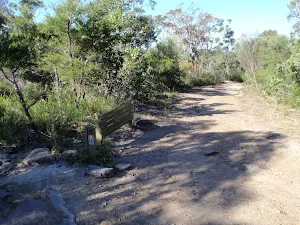 Great North Walk