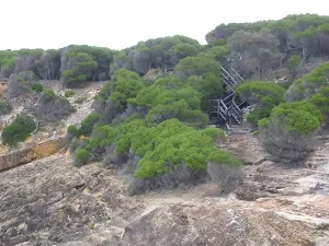 Stairs through heath to Pulpit Rock car park