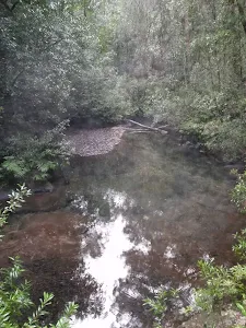Victory Track pool