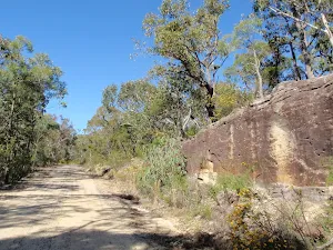 A cutting in the sandstone on the Western Commission track