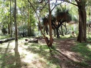 Barraba campsite