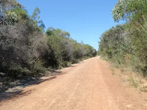 Bobbin Head track