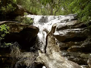 Palona Brook Falls