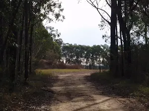 Trail to helicopter pad
