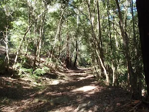 Along the trail