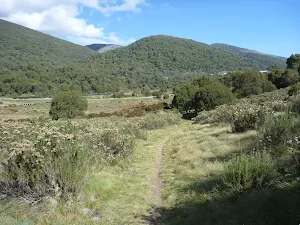 Looking down the Threbo Valley from the Bridle Loop trail