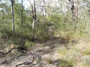 Side track off the Oaks Cycleway