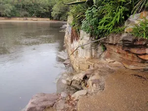 Track up from water