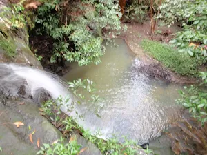 Sheldon Forest (and Rofe Park)