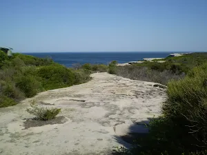 Track Heading along the coast