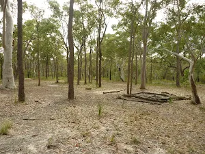 Tunks Ridge Rest Area
