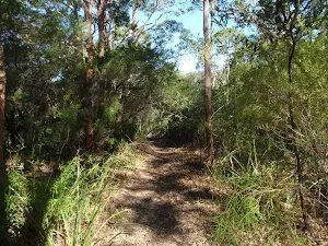 Flat rock Beach track