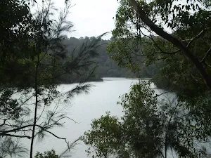 Views over Middle Harbour Creek