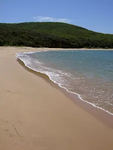 Maitland Beach