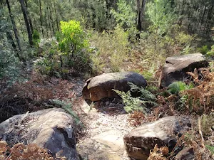 Through the rocks