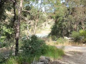 Near Woy Woy landfill