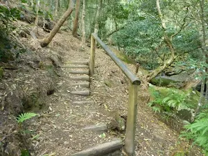 Steps north of Sams Creek