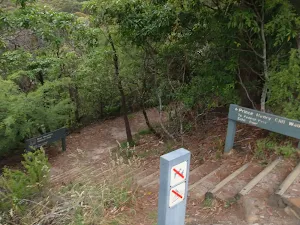 Looking down towards Echo Tree lookout near Solitary Cafe
