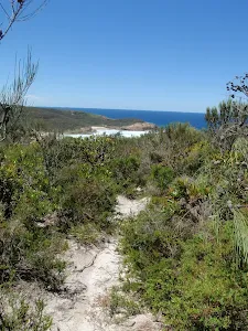 Looking down to Frazer beach from the Grass Tree Track