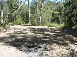 Campsite near Jamison Creek