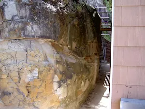 Track behind house