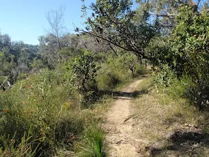 winding around to Cowan
