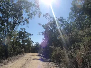 The western commission track in the morning