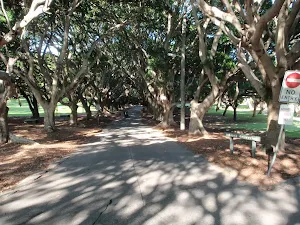 Tree lined path through Nielsen Park