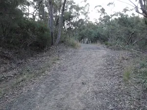 Management trail near the Jungo