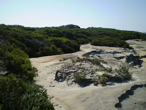 Sandy track near Maroubra