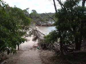 Stairs onto Bittangabee Beach