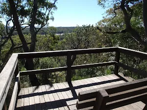 Atmospheric lookout