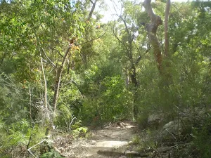Sphinx track