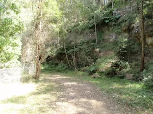Old cutting