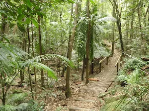 Through the gully above Seymour Pond